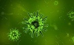 bactéria-fungo-vírus-virose