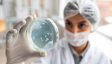 Cientistas desenvolvem probiótico para tratar esclerose múltipla