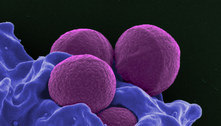 OMS: resistência antimicrobiana é tão perigosa como uma pandemia