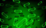 bactéria-superbactéria-germes
