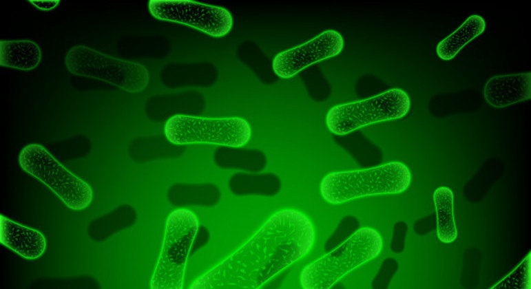 Uso indiscriminado de antibióticos pode contribuir para o surgimento de superbactérias