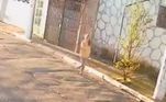Naquela manhã, Tiffany havia dito aos pais que iria dar uma volta rápida nas proximidades. Mas, como não voltou para casa, eles começaram a ficar preocupados e foram para as ruas procurar pela jovem