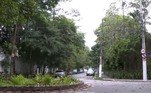 A falta de podas de árvores de ruas e praças desses bairros é um dos principais motivos deles terem ficado mais perigosos nos últimos meses, fazendo com que a população evitasse sair de casa por ter ainda mais medo de ser vítima de ações criminosas nesses locais