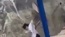 Balanço se rompe e mulheres caem do alto de cânion de 2 km de altura