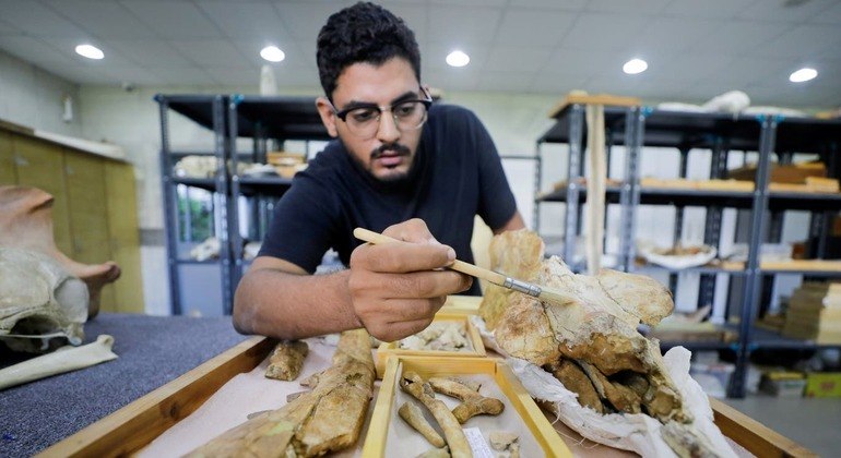 Baleia quadrúpede pesava cerca de 600 quilos e tinha aproximadamente três metros
