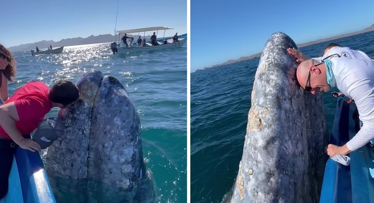 Baleia ganhou beijos, encantou turistas e depois se despediu molhando todos