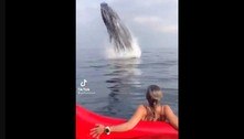 Vídeo belo e aterrorizante mostra salto de baleia perto de remadoras