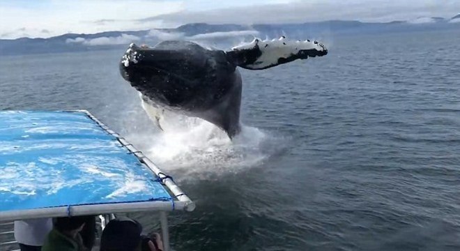 Essa foi por pouco: os turistas ficaram totalmente molhados