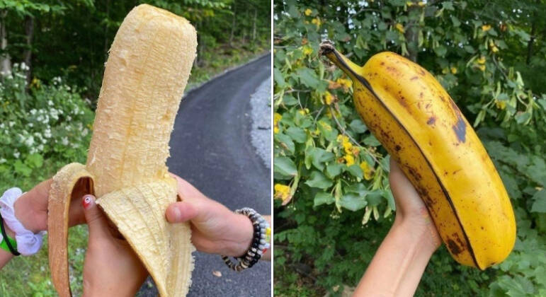 O bananão acima pode chegar a 25 cm e pesar mais de meio quilo