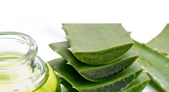 Banho de brilho- O que é, para quem é indicado, benefícios + receitas