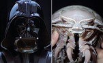 Uma barata do mar comparada ao Darth Vader por alguns veículos de comunicação foi identificada como uma nova espécie de isópode giganteLeia mais! Rapaz sorridente com tubarão cravado no braço choca multidão