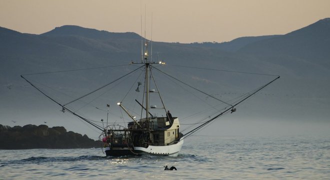 O aquecimento do oceano provoca desequilíbrio na cadeia alimentar marítima e prejudica a pesca