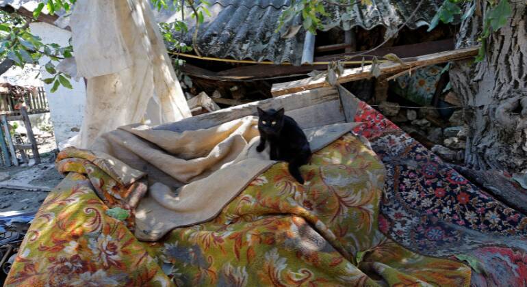 Neste mesmo grupo, donos desesperados compartilham fotos de seus animais na esperança de que algum voluntário os tenha visto. Vários estão perdidos, e as equipes de resgate estão levando os que encontram. Alguns bichinhos conseguiram ser identificados e estão na espera de suas famílias, outros aguardam em canis improvisados até segunda ordem.&nbsp;