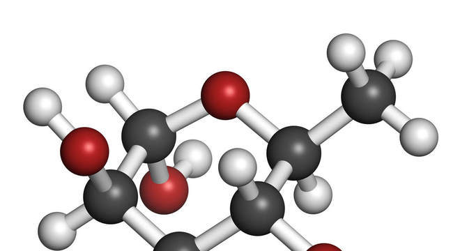 Bases Nitrogenadas, o que são? Definição e características