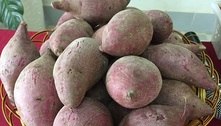 Feira livre: preço da batata-doce, laranja e banana está em queda