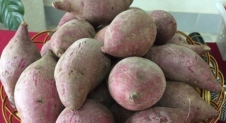 Kilo da batata doce rosada varia de R$ 1,61 a R$ 2,74 no atacado, segundo Ceagesp