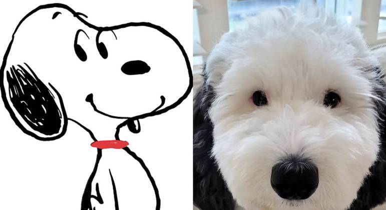 Bayley é considerada o Snoopy da vida real