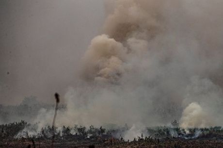 Fumaça e partículas liberadas pelos incêndios são levadas pelo vento a outras regiões 