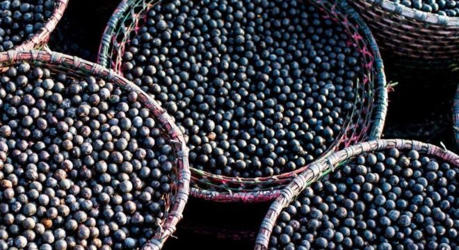 O Brasil é responsável por 85% da produção mundial de açaí, mais de 1,25 milhão de toneladas por ano