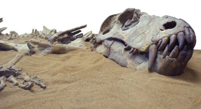 Os dinossauros foram extintos há cerca de 66 milhões de anos — mas há vários outros animais que já desapareceram da face da Terra de uma forma menos 'dramática' 