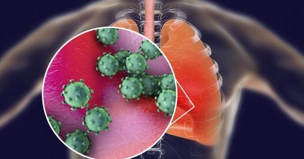 Coronavírus: com chegada da doença ao Brasil, o que realmente ...