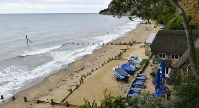 Os fósseis de dinossauros foram descobertos na praia de Shanklin