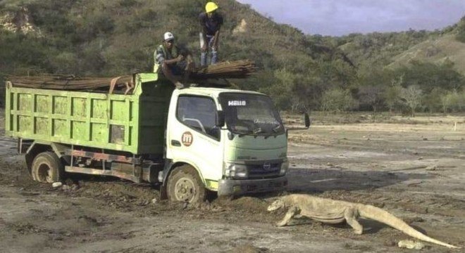 Esta foto viralizou nas redes sociais na Indonésia no fim de semana