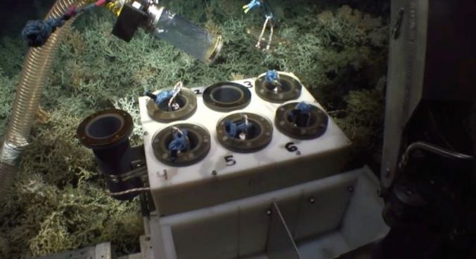 Equipamento de robótica subaquática permitiu a exploração em profundidades que esmagariam mergulhadores humanos