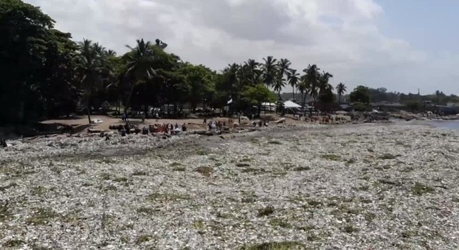 30 toneladas de lixo acabaram nas areias de praia na capital da República Dominicana