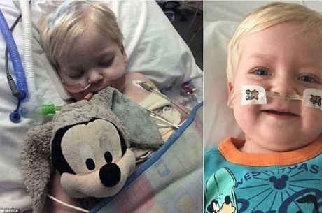 bebê acorda do coma