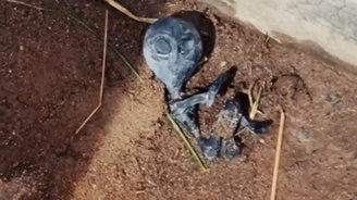 Moradores de aldeia dizem que bebê alienígena morreu após pouso (Reprodução/YouTube Al Rojo Vivo)