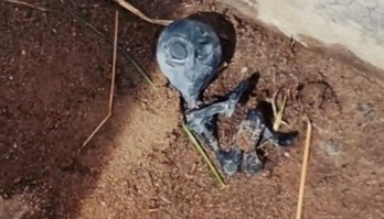 Moradores de aldeia dizem que bebê alienígena morreu após pouso (Reprodução/YouTube Al Rojo Vivo)