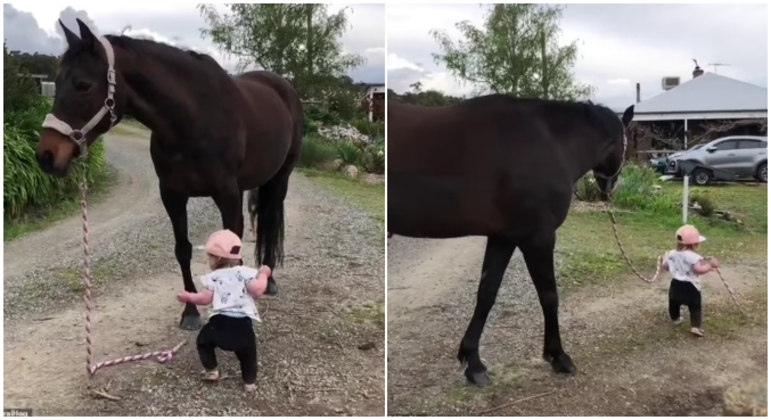 Bebê de apenas 15 meses levou cavalo para passear na fazenda da família