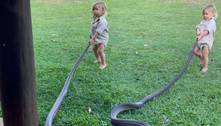 Bebê australiano puxa cobra de 2 metros para fora do jardim