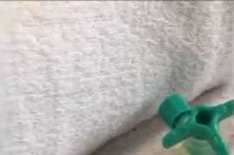 Bebê Mamãe