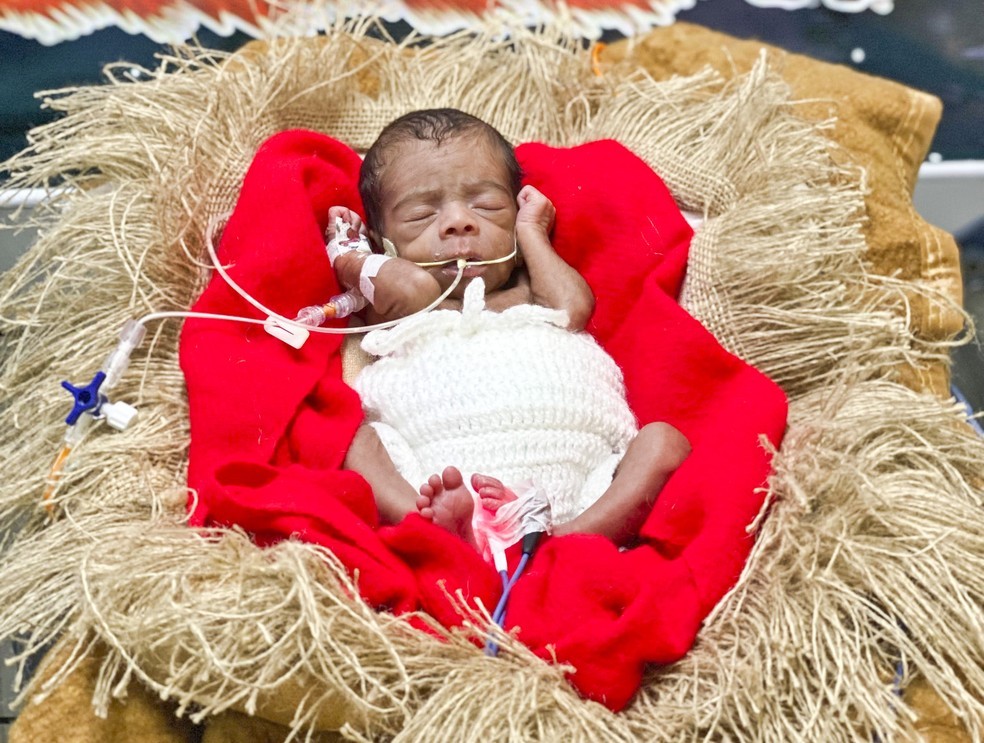 Bebês internados em maternidade escola ganham mesversários da equipe  Neonatal; veja fotos - Ceará - Diário do Nordeste