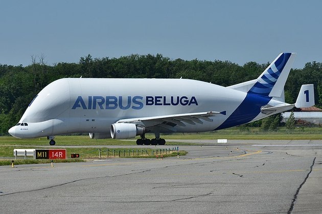 A primeira visita ao Brasil do Airbus A300-600ST, carinhosamente chamado de Beluga pela semelhança com a baleia, mexeu com os ânimos dos fãs da aviação. O cargueiro de empresa aérea europeia, que trouxe ao país um helicóptero, passou pelos aeroportos de Fortaleza e Viracopos. O design icônico do Beluga, porém, é só uma das belezas da aviação contemporânea