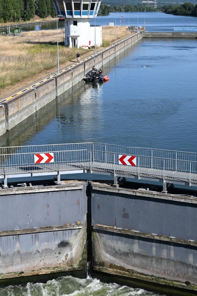 Beluga retirada do rio Sena morre durante tentativa de resgate