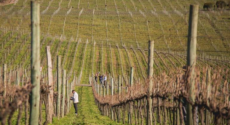 Há quem diga que Bento Gonçalves é a Toscana brasileira por conta das paisagens recheadas de vinícolas e casas rochosas