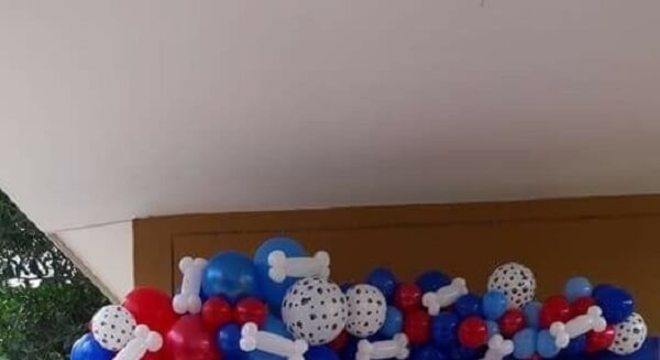 Bexigas em formato de ossinhos