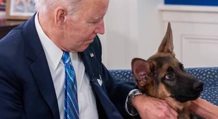 Cachorro de Biden morde agente do serviço secreto dos EUA