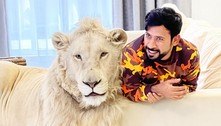 Bilionário de Dubai faz sucesso em redes sociais com fotos de leões e tigres de estimação
