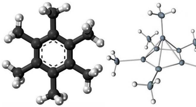 Bioquímica, o que é? Definição, o que estuda, função e metabolismo