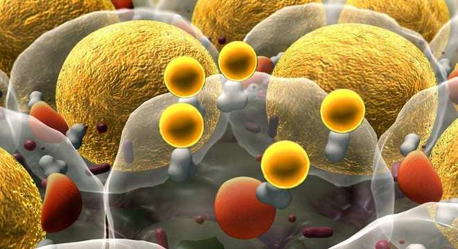 Bioquímica, o que é? Definição, o que estuda, função e metabolismo