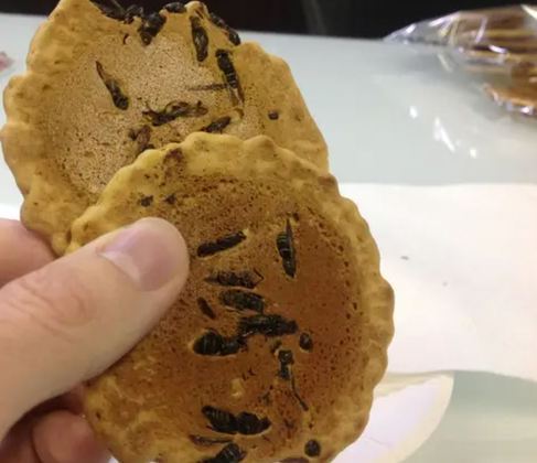 Biscoitos de vespa - Consumidos no Japão, são feitos de batata e assados com vespas na mistura. 