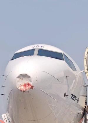 Boeing 737-8MAX com radome danificado: colisão com pássaro