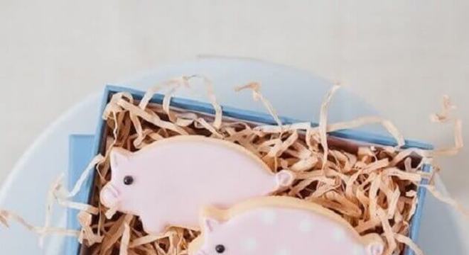 bolachinhas em formato de porquinho para festa infantil fazendinha 