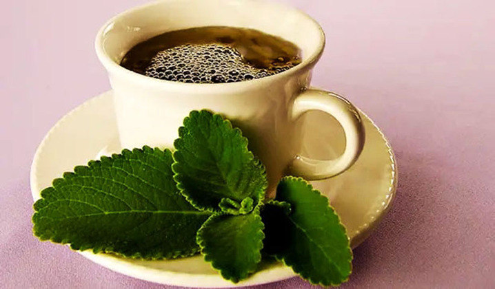 Boldo, hortelã e chá verde: As três ervas têm propripriedades para limpar o estômago e o fígado, aliviando a sensação de mal-estar. 
