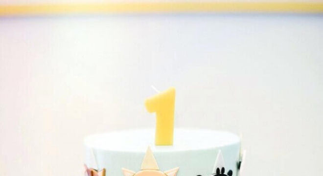 bolo decorado para festa fazendinha 