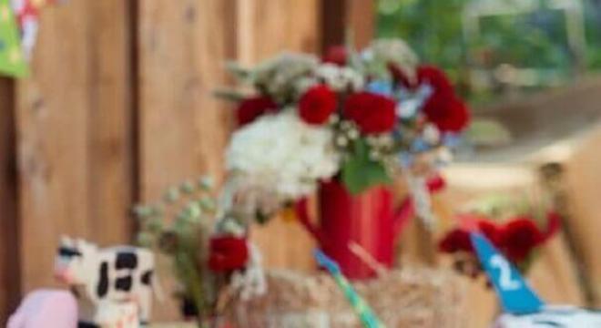 bolos decorados para festa da fazendinha